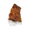 Fossil Natural Amber <Madagascar> [rs-g2002]