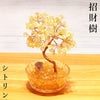 [20% off Aquarius Zodiac Stone only until January 19th (automatic discount at checkout)] Wealthy Money Tree Ornament [in-g4009]