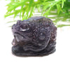 Ornamental Tripod Toad Iolite Sunstone [cv-g0103]