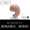 [Japanese Famous Stone] Magatama Niigata Yamazakura Stone (Niigata Cherry) <Niigata Prefecture> Approx. 30mm [ma-g8115]