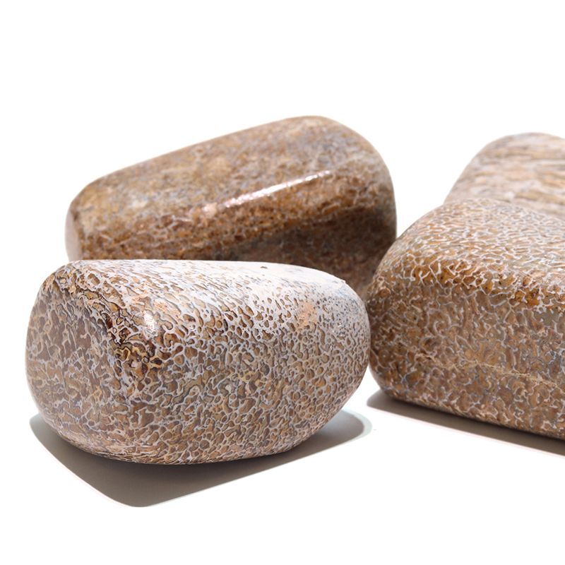化石、隕石セット METEORITES / 隕石 | 化石・隕石・鉱物の販売 JURASSIC