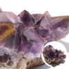 Aquarius Zodiac Stone 20% OFF until January 19th (Automatic Discount at Checkout) Amethyst Cluster from Congo [rs-g4015]