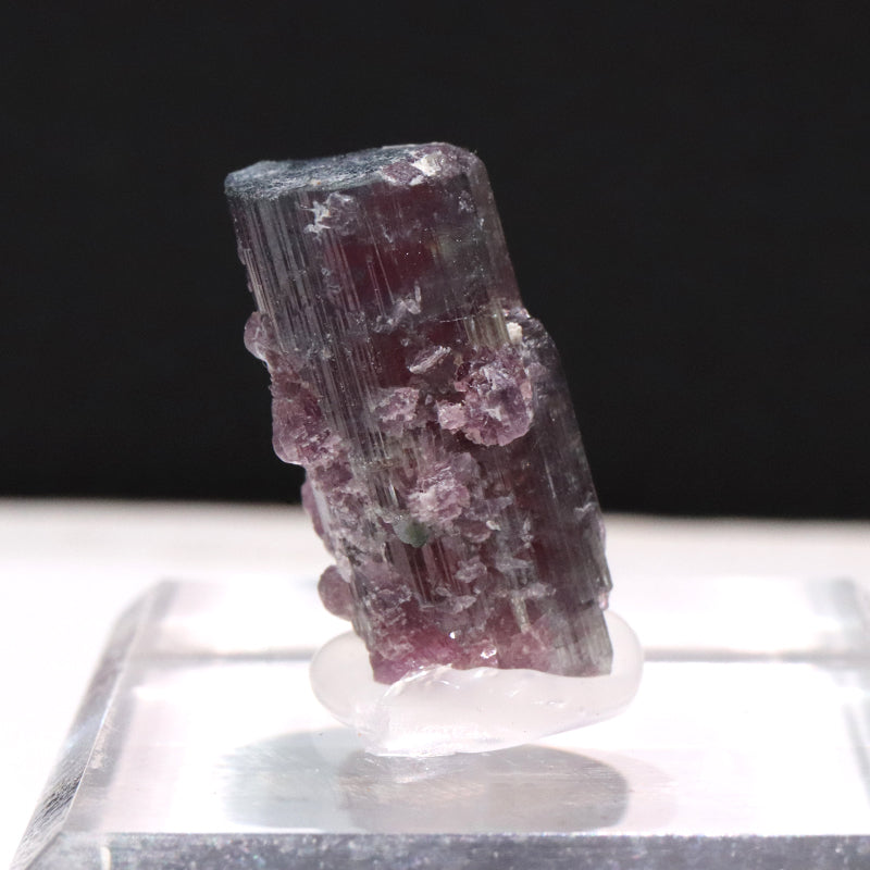 原石　ウォーターメロントルマリン＜ブラジル産＞　約1～2.5cm　台付き  [co-g1934]