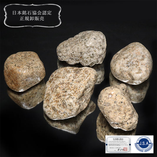 【日本銘石】釈迦ヶ岳産　伊勢石＜三重県/釈迦ヶ岳産＞　原石　約4～6cm [co-g2633]