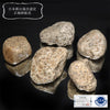 【日本銘石】釈迦ヶ岳産　伊勢石＜三重県/釈迦ヶ岳産＞　原石　約4～6cm [co-g2633]