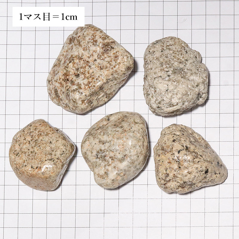 【日本銘石】釈迦ヶ岳産　伊勢石＜三重県/釈迦ヶ岳産＞　原石　約4～6cm [co-g2633]