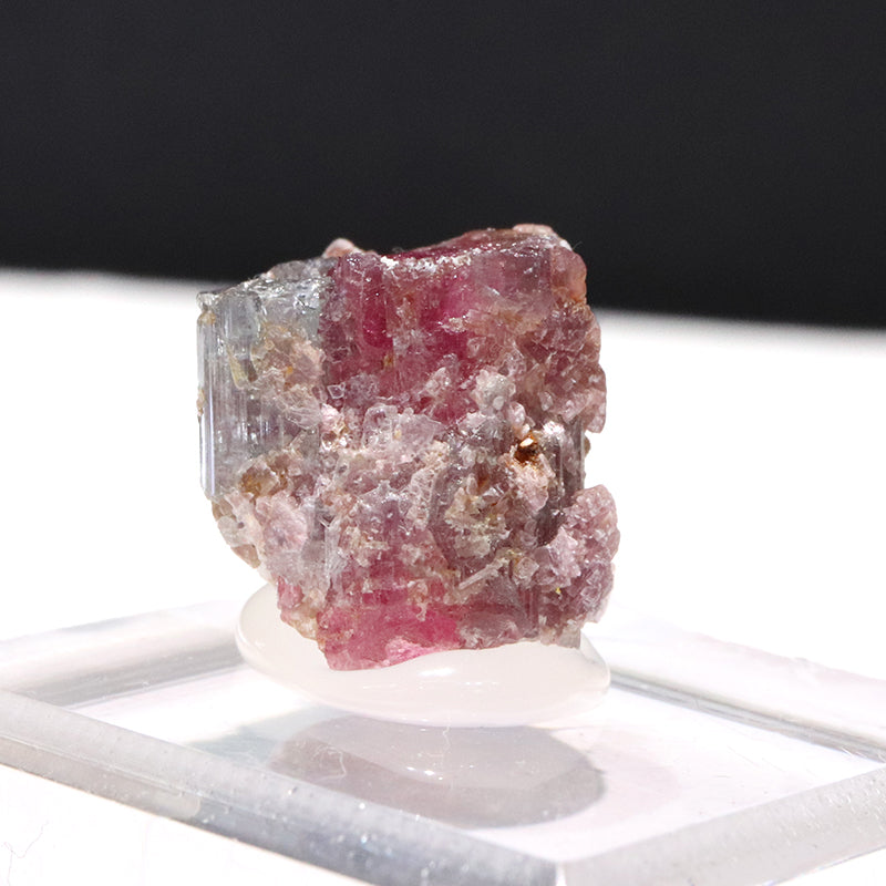 原石　ウォーターメロントルマリン＜ブラジル産＞　約1～2.5cm　台付き  [co-g1934]