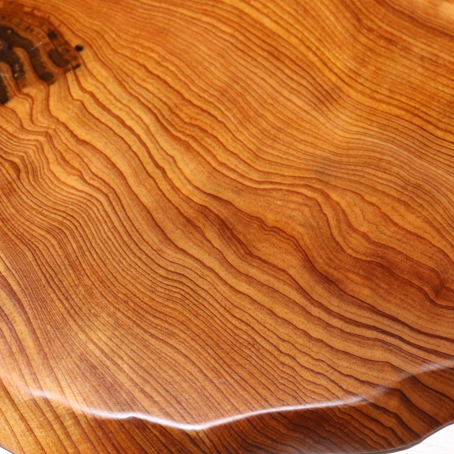 ディスプレイ・台座　屋久杉＜鹿児島県/屋久島産＞  [co-g2116]