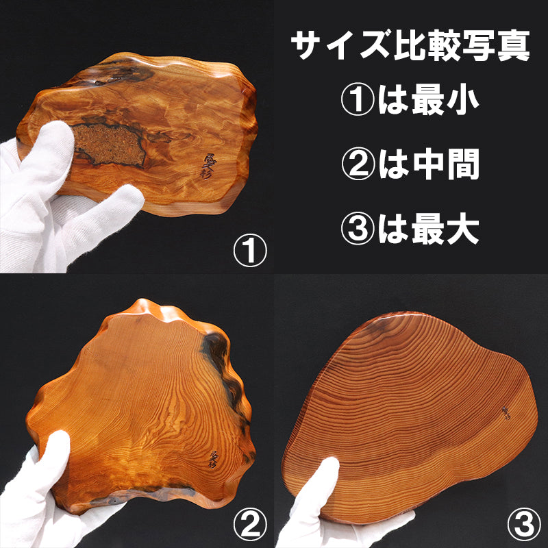 ディスプレイ・台座　屋久杉＜鹿児島県/屋久島産＞  [co-g2116]