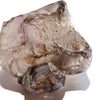 Rough Mondo Quartz Elestial <Tanzania> [rs-g0064]