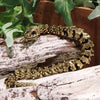 Brass Snake Bellows Snake with movable joints [in-g0063]