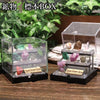 Aquarius Zodiac Stone 20% OFF until January 19th (Automatic Discount at Checkout) Ornament, Mineral Specimen Box, Raw Stone, Random Shipment [in-g0064]