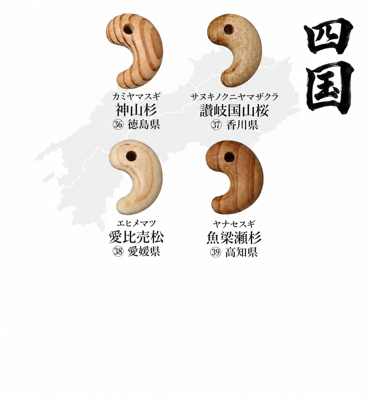 【パワーズウッド】　47都道府県の銘木　勾玉　約15×21mm　ケース入り [co-g3192]