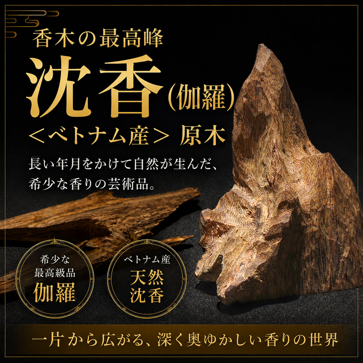 【パワーズウッド】伽羅＜ベトナム産＞　原木　沈香　専用ケース付き  [co-g3033]