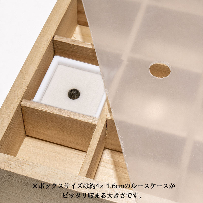 【パワーズウッド】　48マス 木製コレクションケース クリアふた付き [co-g3007]