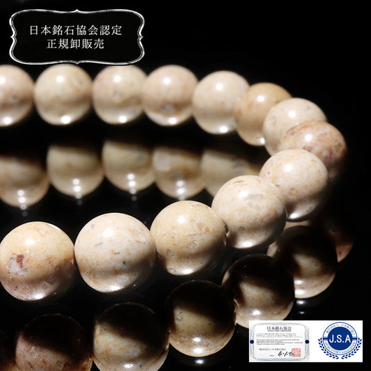 [Japanese Famous Stone] Bracelet Tourmaline in Himekawa Yakuseki <Made in Itoigawa City, Niigata Prefecture> Round [br-g8078]