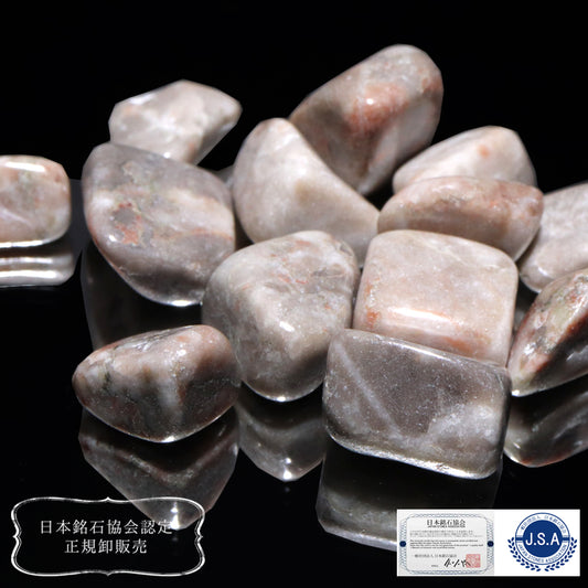【日本銘石】土佐桜＜高知県産＞　グレー　さざれ　約100g [co-g2523]