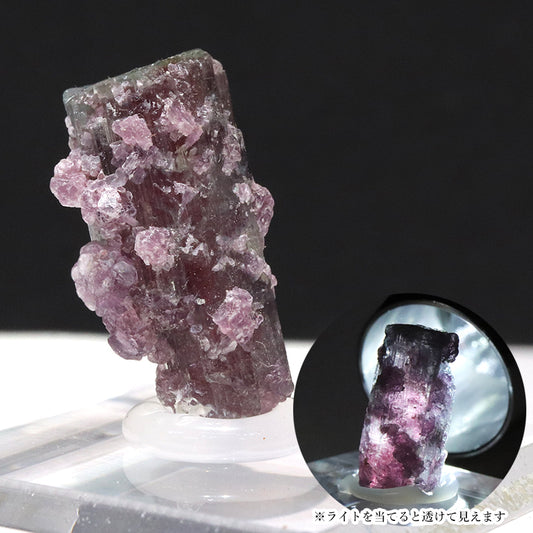 原石　ウォーターメロントルマリン＜ブラジル産＞　約1～2.5cm　台付き  [co-g1934]