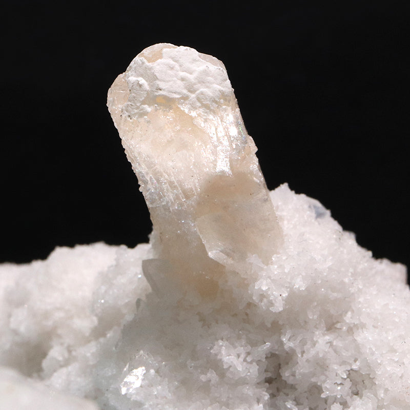 【特別価格】原石詰め合わせセット　アポフィライト×スティルバイト×モルデナイト×カルセドニー　約8個入り　インド産  [co-g1958]