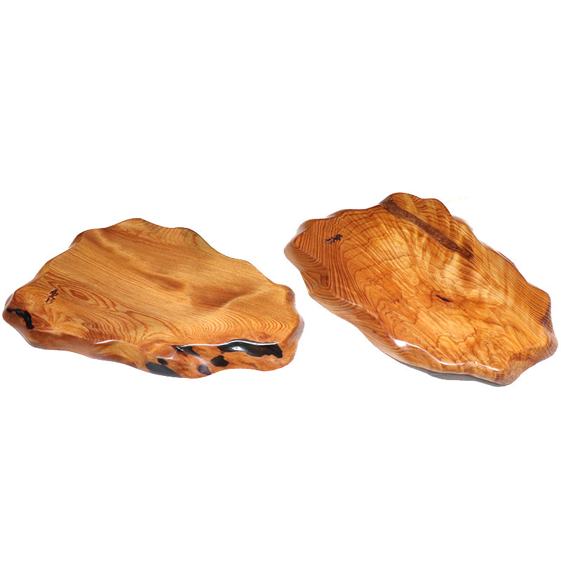 ディスプレイ・台座　屋久杉＜鹿児島県/屋久島産＞  [co-g2116]