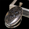 【割引不可】ペンダントトップ　ペトリファイドパームウッド＜インドネシア産＞　オーバル型　約27mm×約45mm　silver925　シルバー　ランダム発送　[co-g1189]