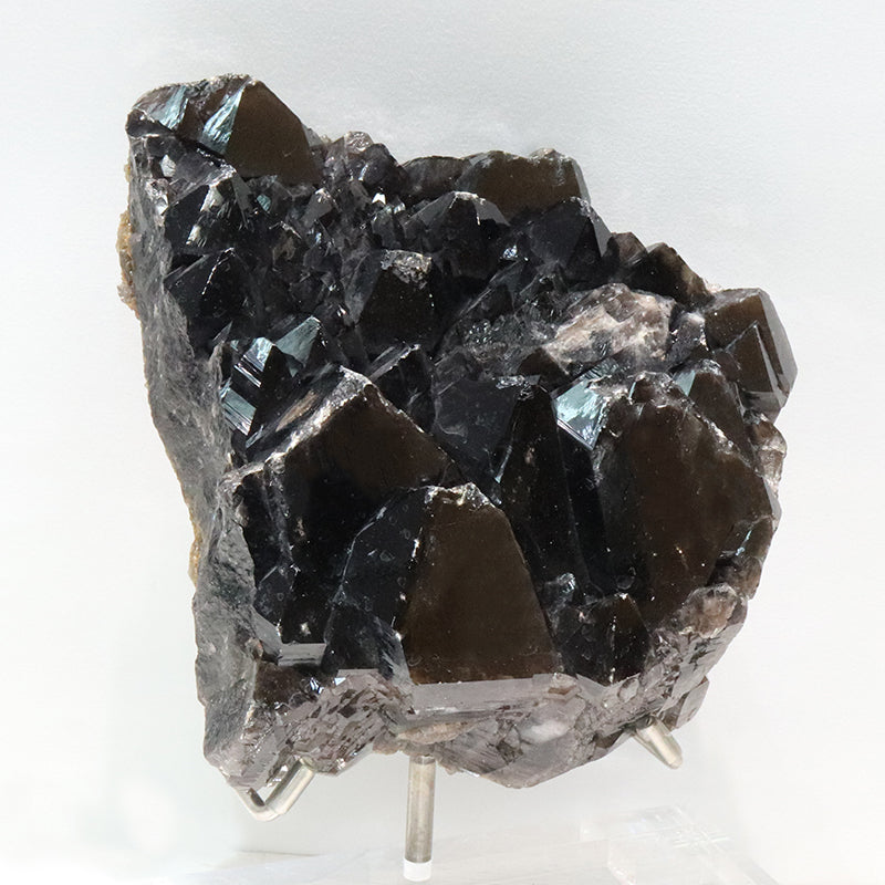 【動画】【一点物】クラスター　モリオン　ブラジル産　台付き [co-g2178]