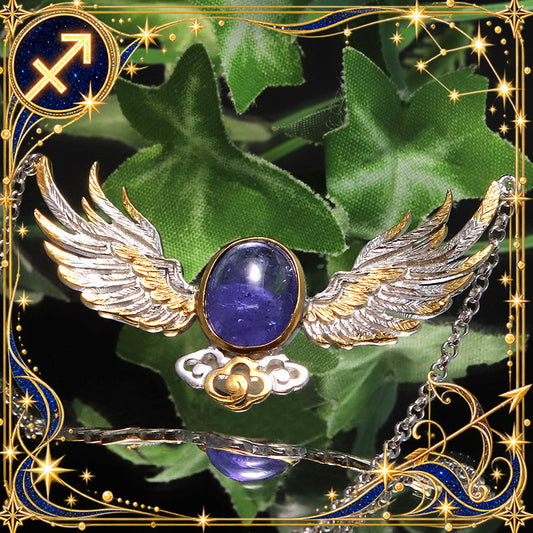 ネックレス　タンザナイト　天使の羽　タンザニア産　silver925  [co-g0321]