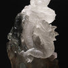 [Video] [One-of-a-kind] Carved Garden Quartz Dragon from Brazil with stand [co-g1371]