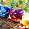 装饰植物标本迷你苹果与鹅卵石 [in-g4025]