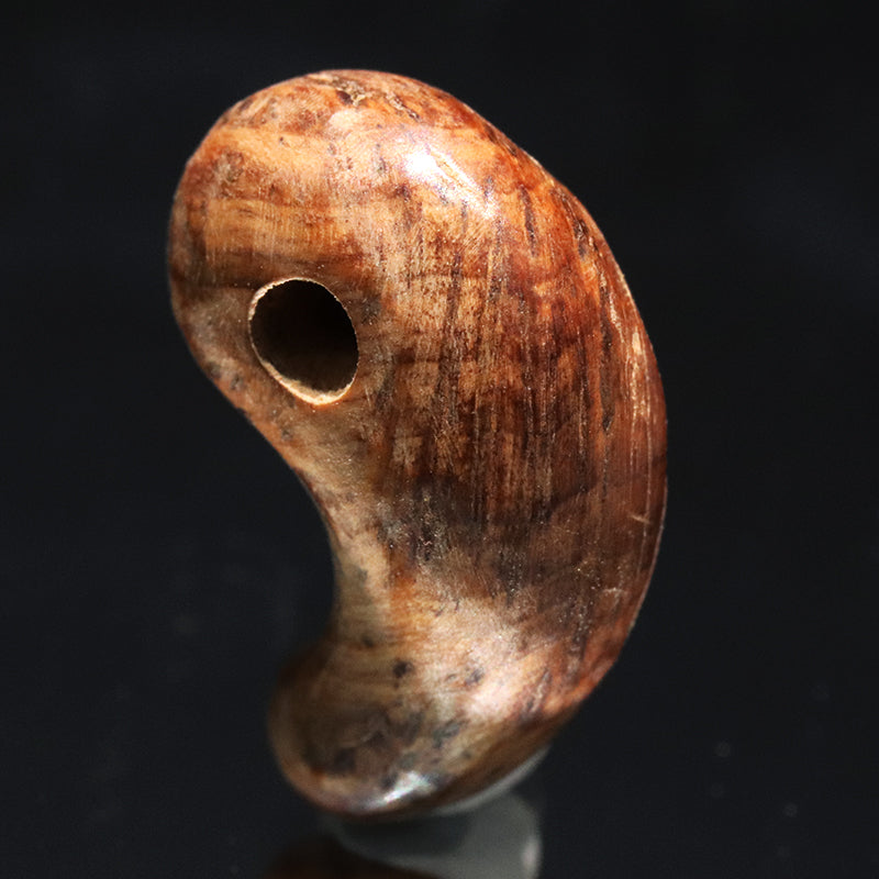 【パワーズウッド】屋久杉(泡瘤)＜鹿児島県/屋久島産＞　勾玉　約21m [co-g2371]