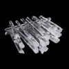 レムリアンシード＜コロンビア産＞　約10～12gパック  [co-g2418]