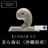 [Japanese Stone] Magatama Churaumi Stone (Okinawa Prefecture) Large, Approx. 30mm [co-g0651]