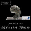 【日本銘石】勾玉　五色石さざれ石＜高知県産＞　大　約30mm  [co-g0652]