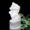 Selenite Unicorn Carving [co-g1609]