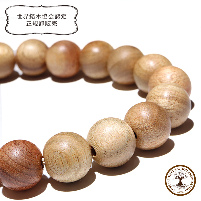 【パワーズウッド】幻の楠＜奈良県産＞　ブレス [co-g2665]