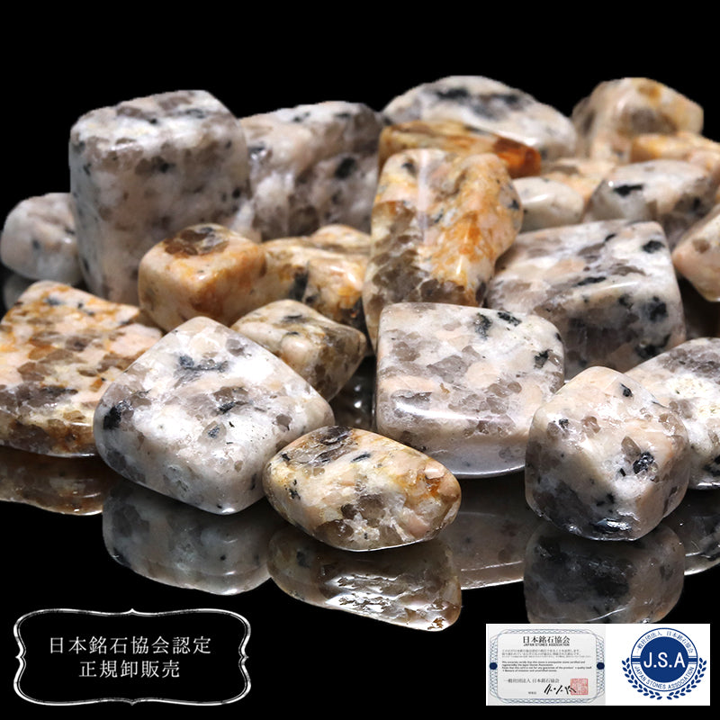 【日本銘石】さざれ　犬島石（タコ石）＜岡山県産＞　約100g [co-g0693]