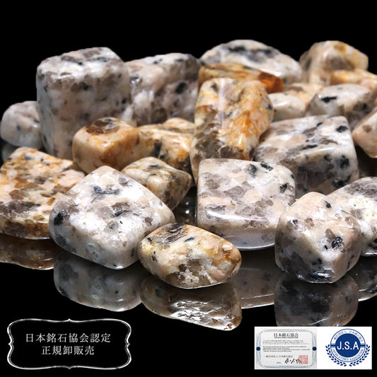 【日本銘石】さざれ　犬島石（タコ石）＜岡山県産＞　約100g [co-g0693]