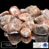 [Japanese Stone] Yamazakura Stone (Toyama Prefecture) - Approx. 100g [co-g0694]