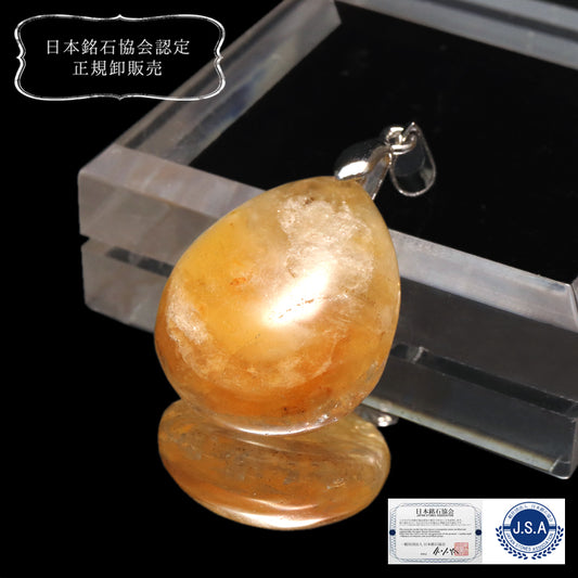 【日本銘石】ペンダントトップ　北海道オパール＜北海道産＞　涙型　北海道石なし（発光なし）　ステンレス  [co-g0711]
