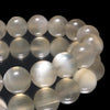 Round Gray Moonstone Bracelet from India [co-g0868]
