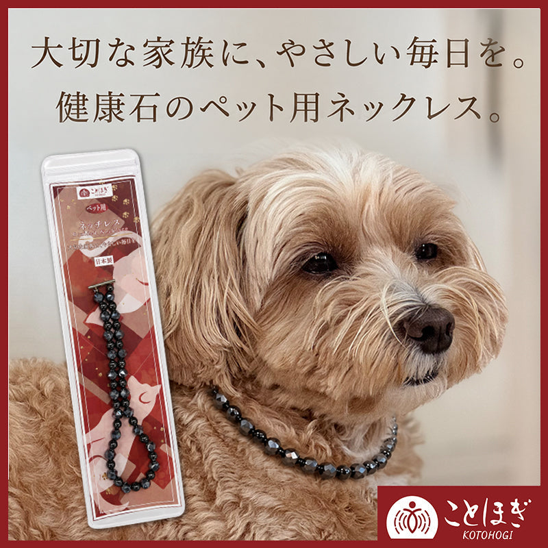 【ことほぎ】ペット用マンテルネックレス　テラヘルツスター8mm×ヘマタイト6mm　 [co-g2995]